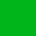 Luminous green (RAL 6038)