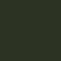 Bottle green (RAL 6007)