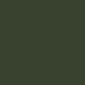 Chrome green (RAL 6020)