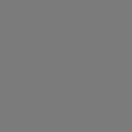 Dusty grey (RAL 7037)
