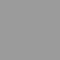 Signal grey (RAL 7004)