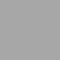 Silver · RAL 9006