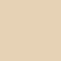 Light ivory (RAL 1015)